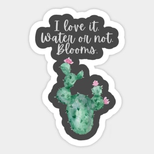 Cactus lover Sticker